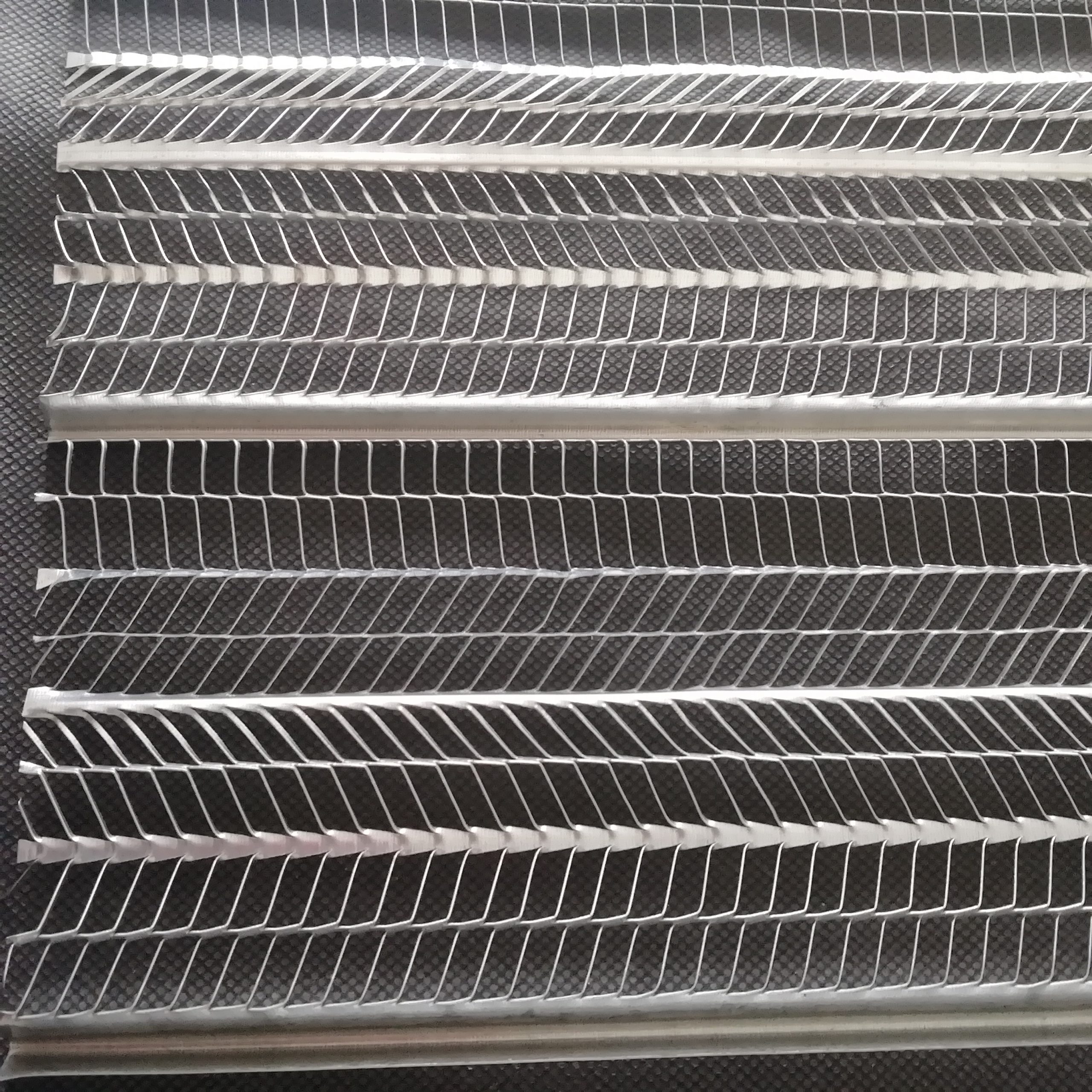 رابیتس در تبریز